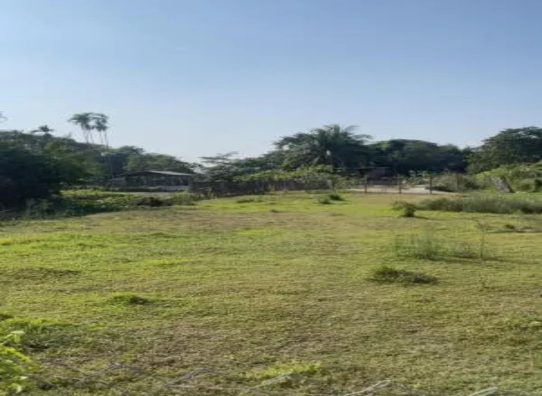 Garchuk Residencial plot