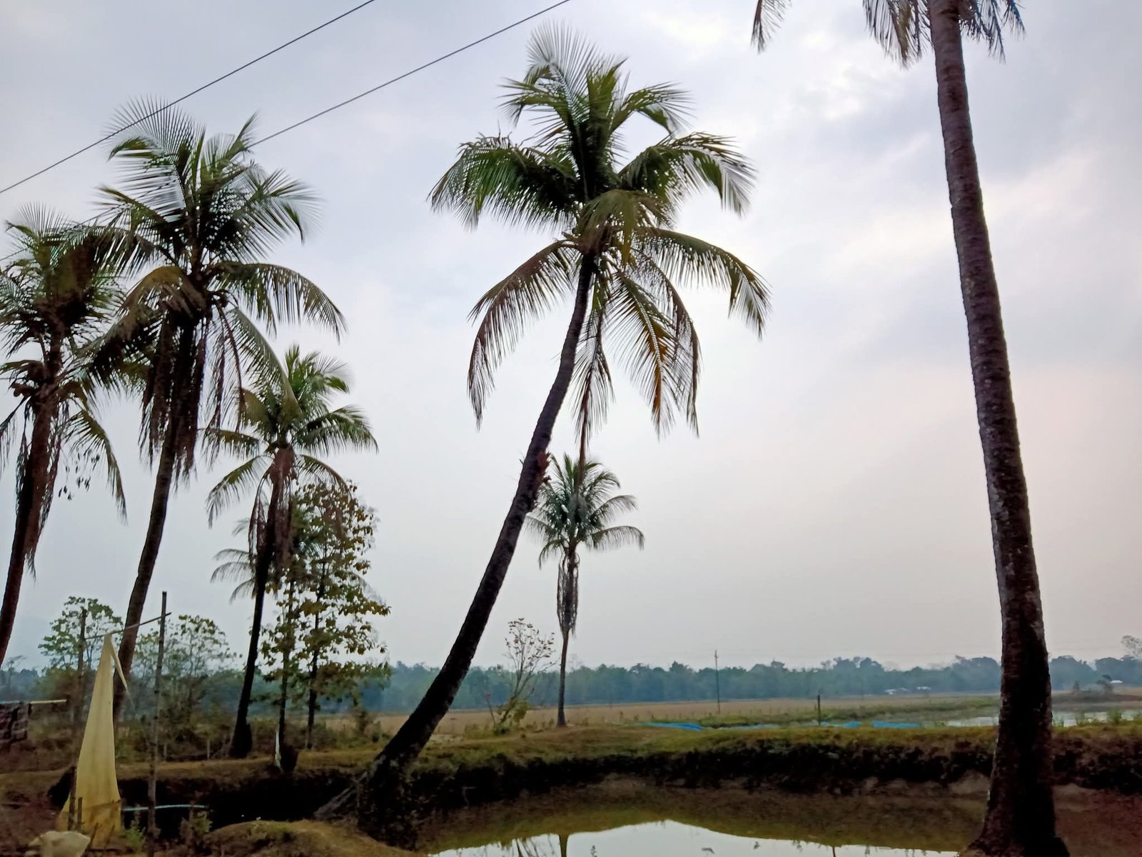 House & Land for Sale