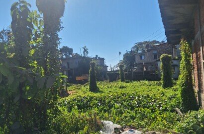 6 Katha Land for Sale in Silchar Bhakatpur Near Barak valley Academy School