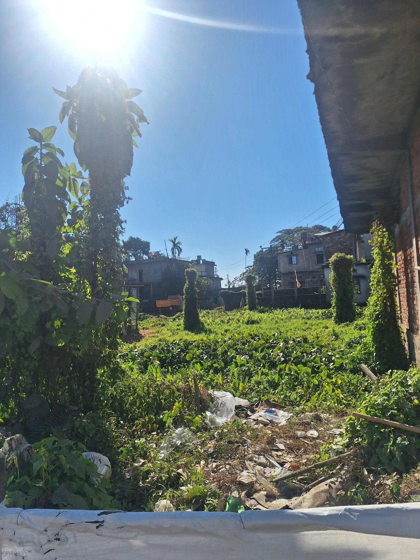 6 Katha Land for Sale in Silchar Bhakatpur Near Barak valley Academy School