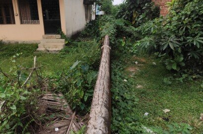 House for rent office bank Gowdown