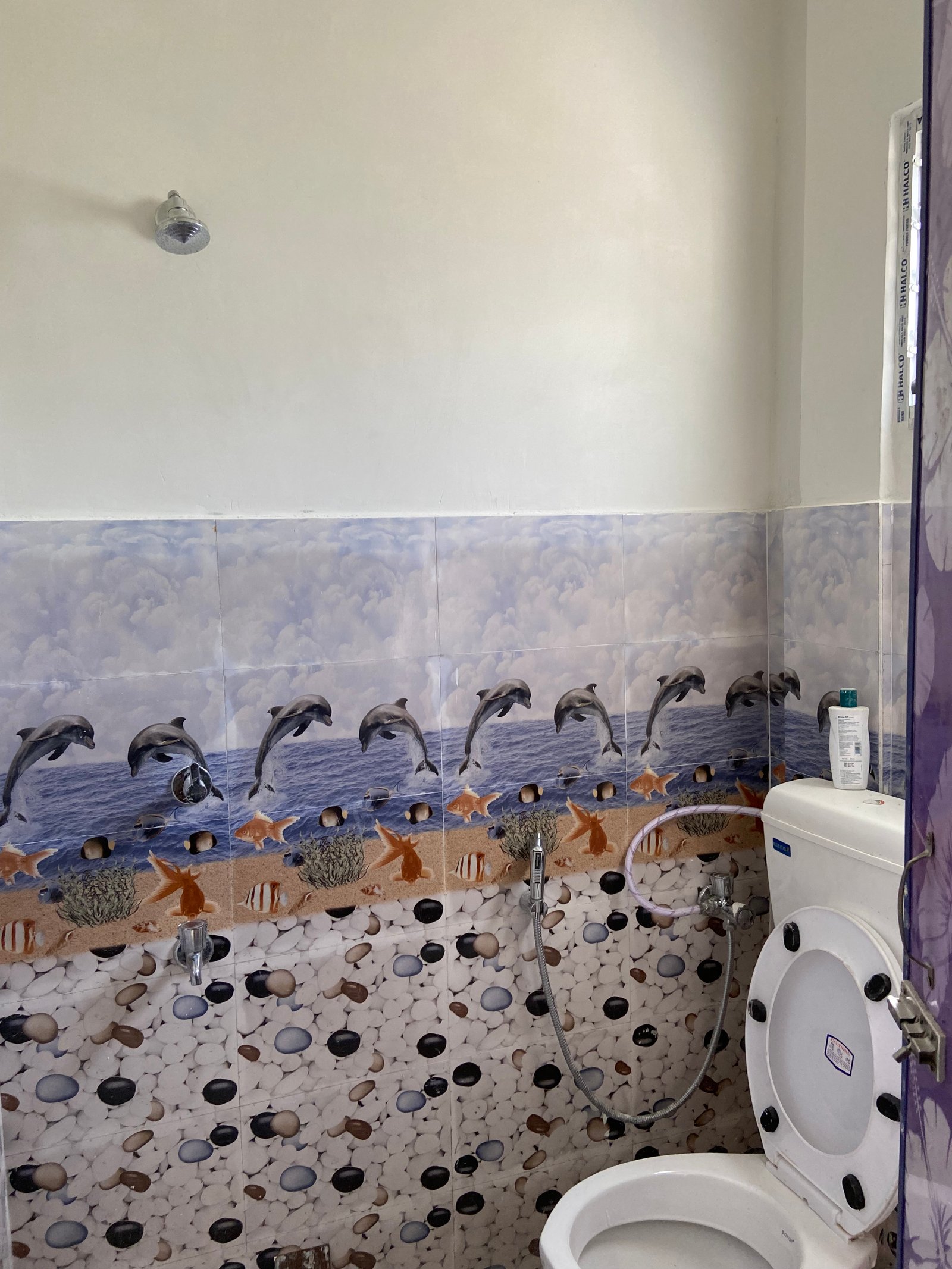 1bhk flat for rent at Bhakatpur chengkuri road ph nmbr 9085971142