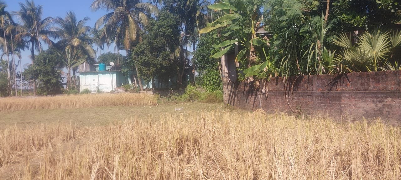 Prime land sale in Patharkandi, Hingari, near Block office