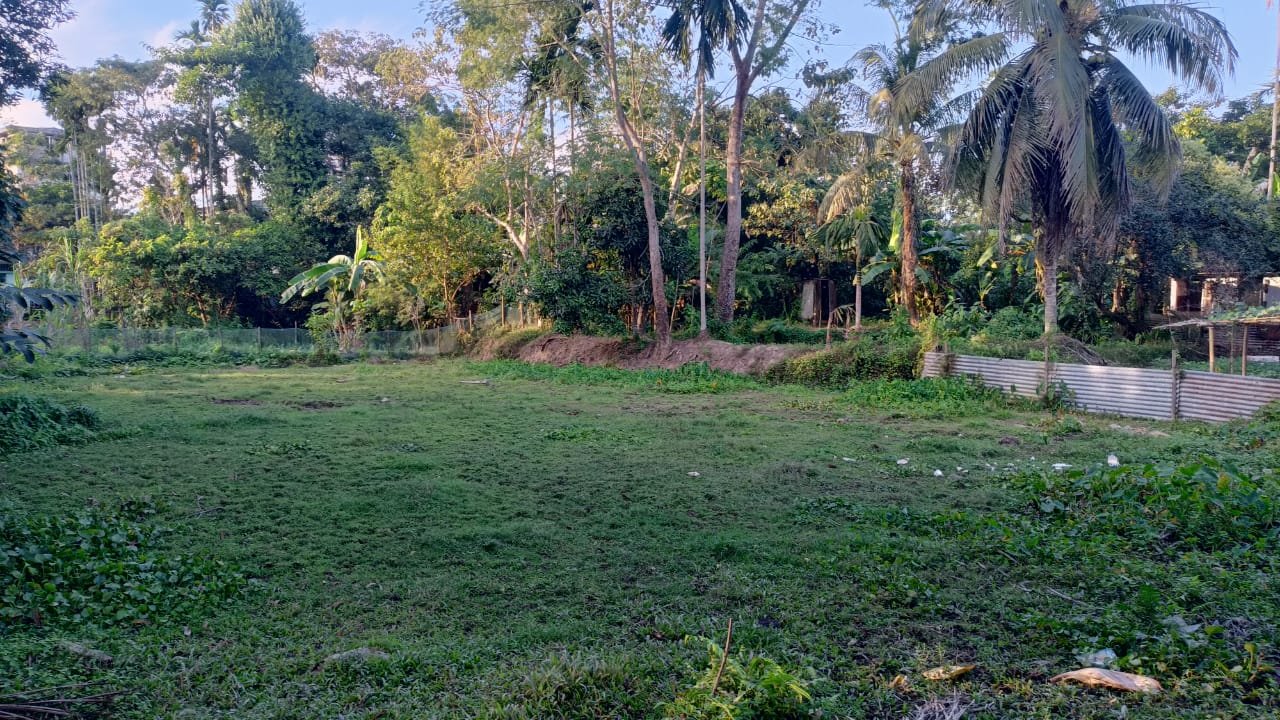 Prime land sale in Rajargaon, Patharkandi, 2 mins walking distance from national highway